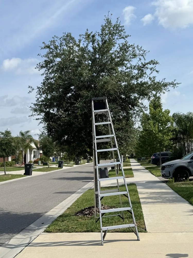 Professional garden landscaping in Lithia, FL by Estrada Landscaping