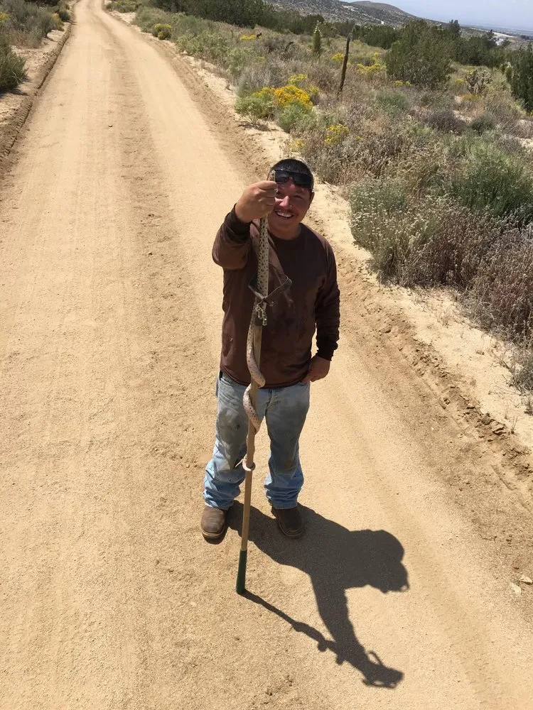 Professional outdoor landscaping in Palmdale, CA by Estrada Landscaping