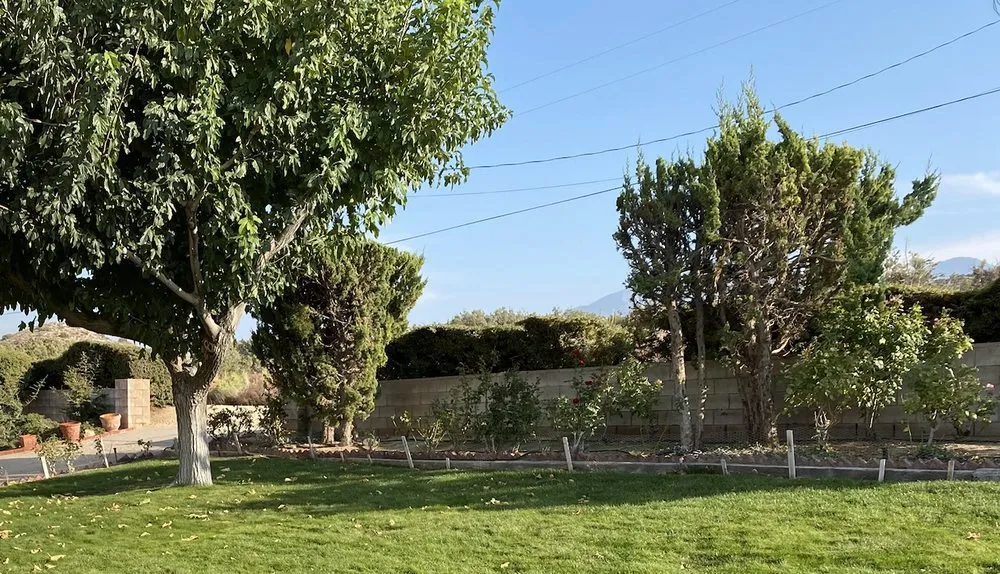 Professional landscape installation for beautiful yards across Palmdale, CA - Estrada Landscaping