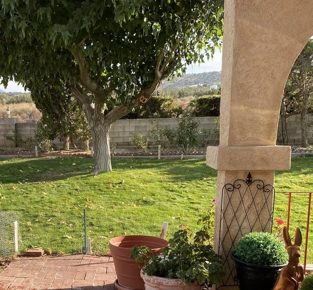 Expert lawn care service experts serving Palmdale, CA - Estrada Landscaping