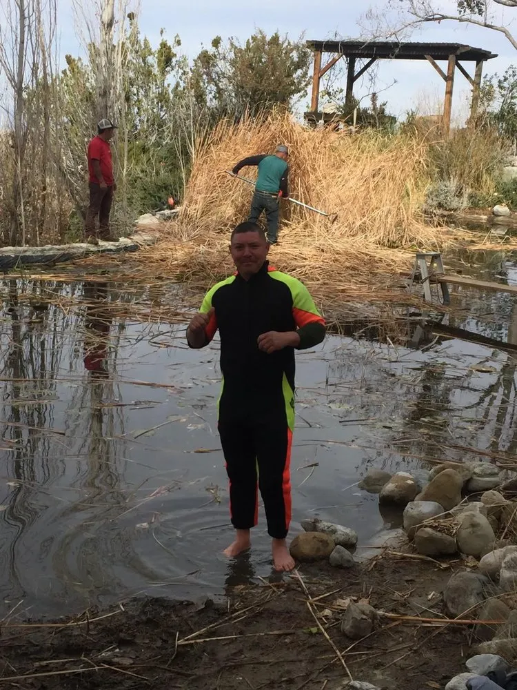 Reliable lawn care service for outdoor upgrades in Palmdale, CA by Estrada Landscaping