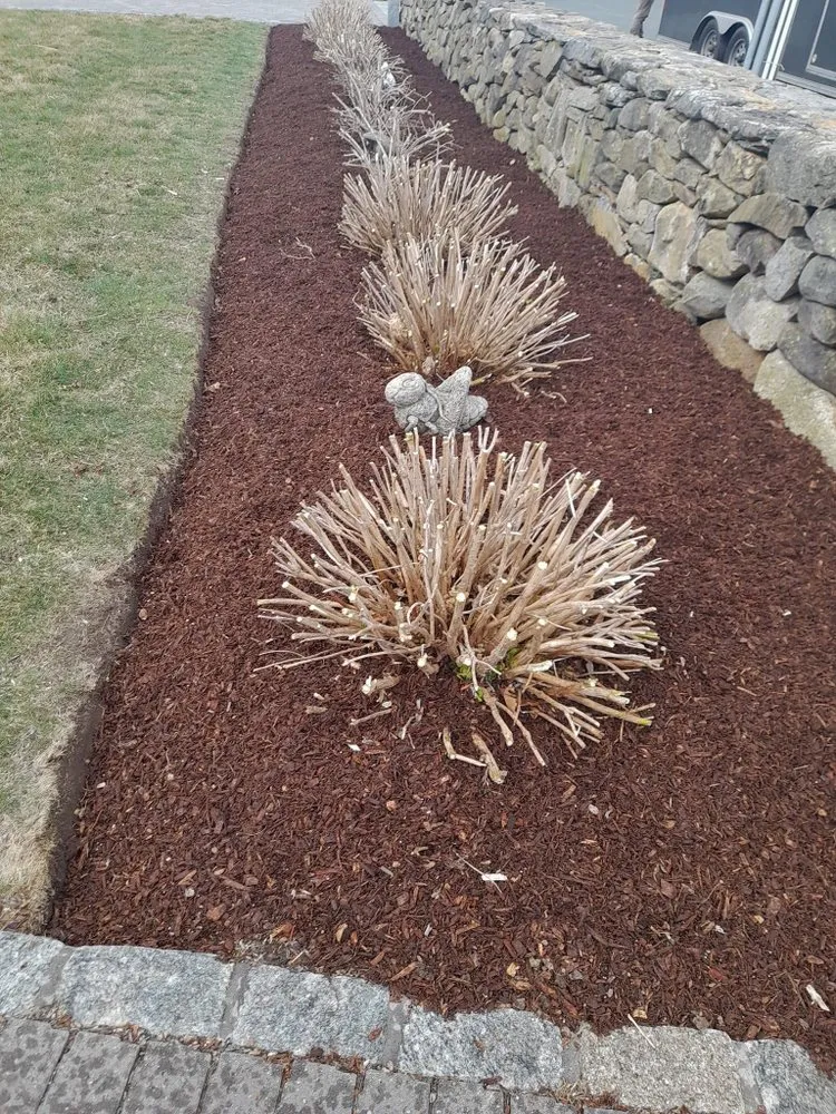 Trusted lawn care service for beautiful yards across Providence, RI - Estrada Landscaping