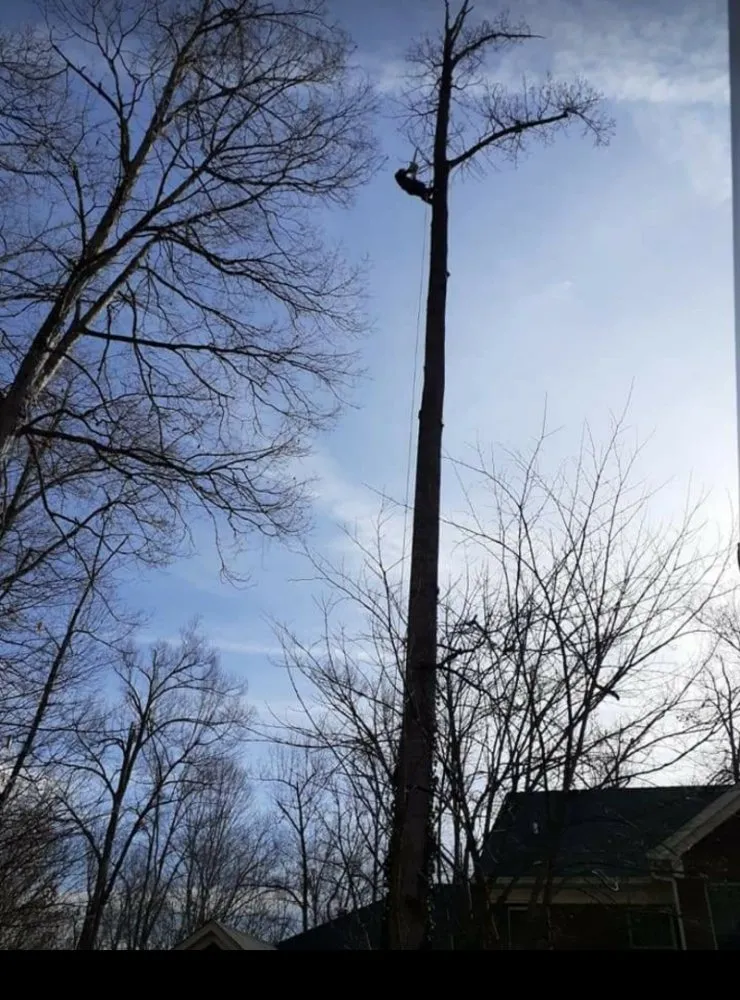 Expert garden landscaping experts serving Shelbyville, KY - Estrada Landscaping