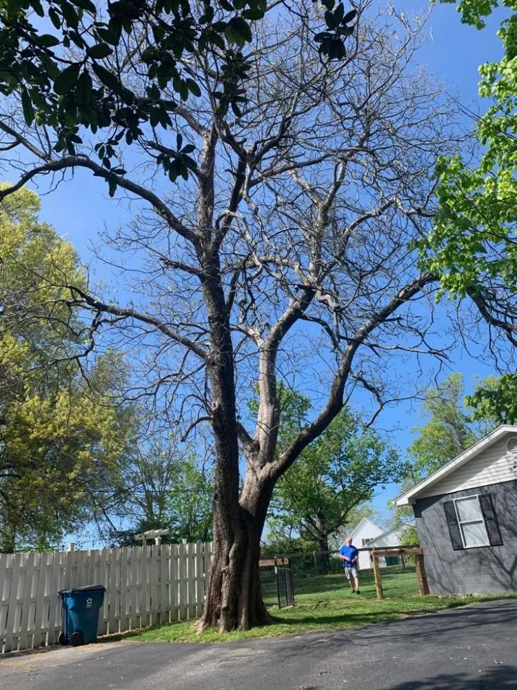 Custom garden landscaping for residential properties in Shelbyville, KY by Estrada Landscaping