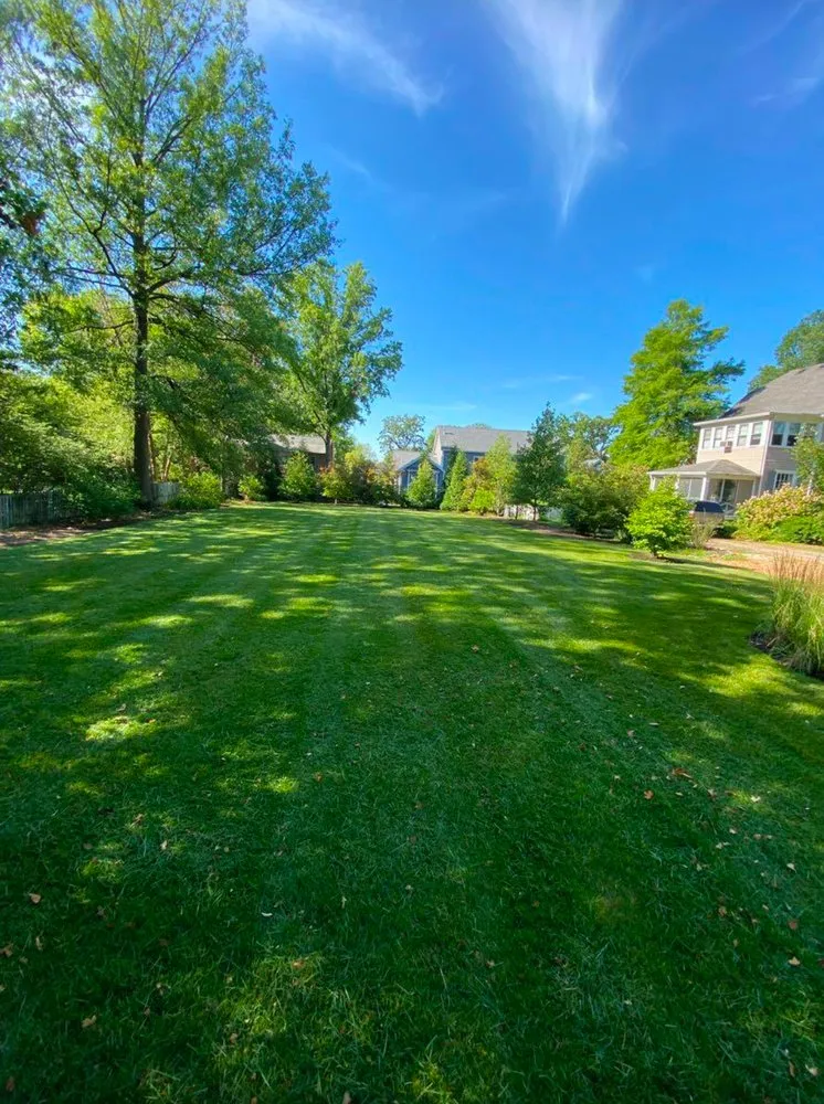 Trusted yard cleanup service for homes across Valley Park, MO - Estrada Landscaping