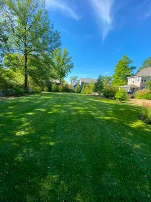 Estrada Landscaping Logo