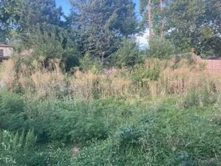 Local garden landscaping in Decatur, NE - Estrada Lawn Services