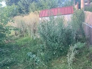 Trusted outdoor landscaping in Decatur, NE by Estrada Lawn Services