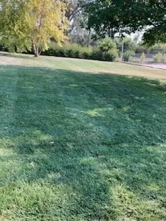 Affordable landscape installation for year-round maintenance in Decatur, NE by Estrada Lawn Services