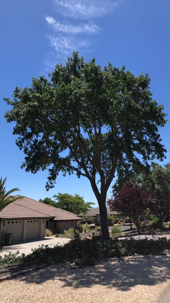 Reliable landscape installation experts serving Atascadero, CA - Estrada Services