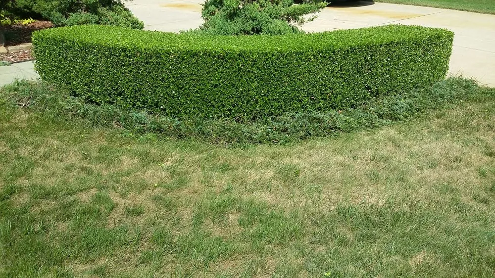 Reliable lawn mowing service for homes across Lansing, MI - Estrada Services