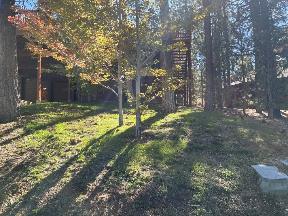 Reliable landscape installation for residential properties in Big Bear City, CA by Estrada's Construction, Landscaping & Fencing