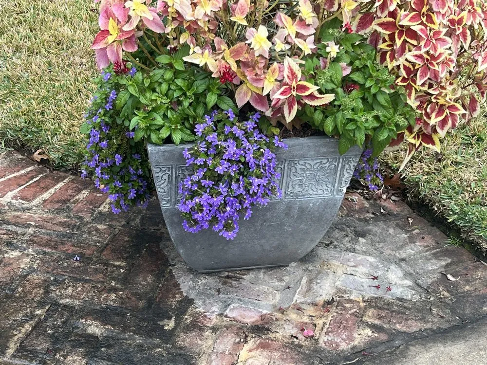 Trusted landscape design in Princeton, TX - Estrada's Landscape and Lawncare