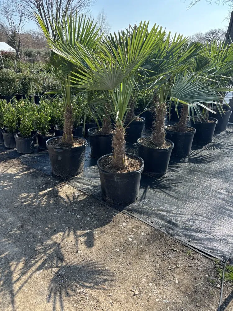 Reliable landscape design for year-round maintenance across Princeton, TX - Estrada's Landscape and Lawncare