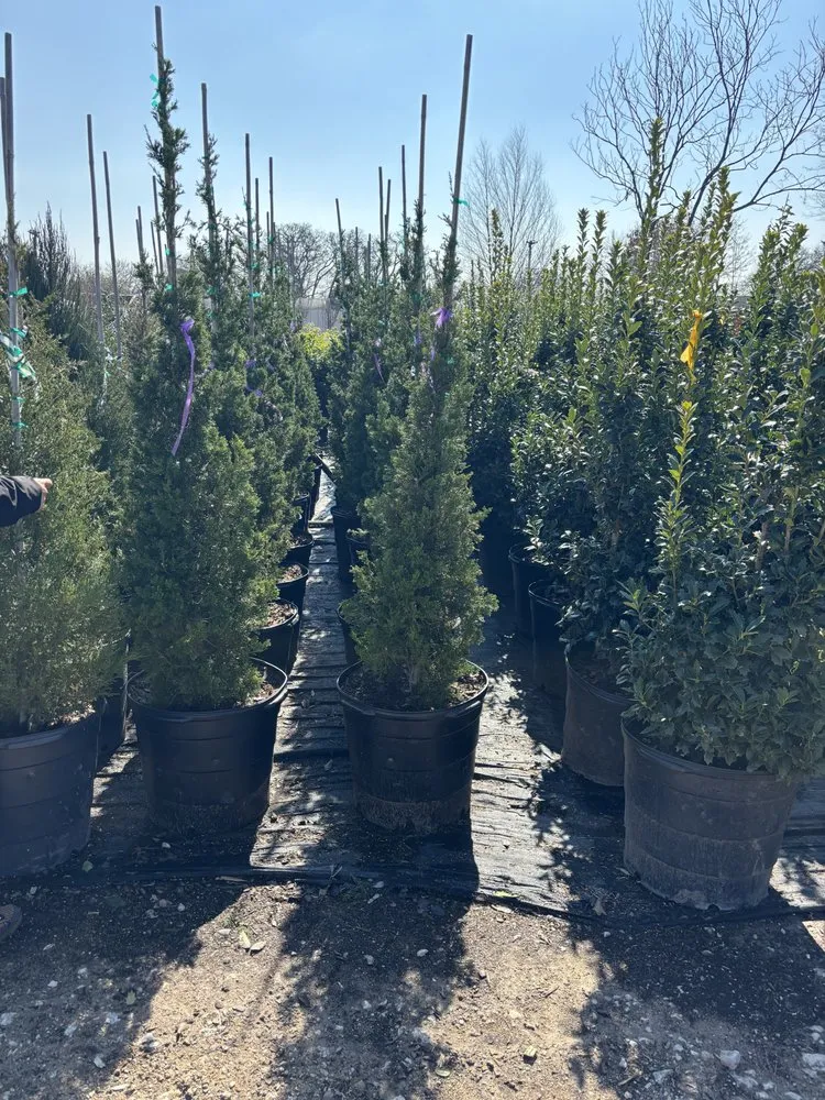 Local garden landscaping for residential properties across Princeton, TX - Estrada's Landscape and Lawncare