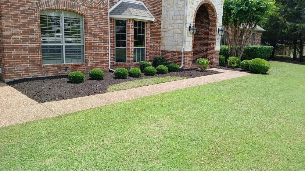 Affordable yard maintenance in Princeton, TX - Estrada's Landscape and Lawncare
