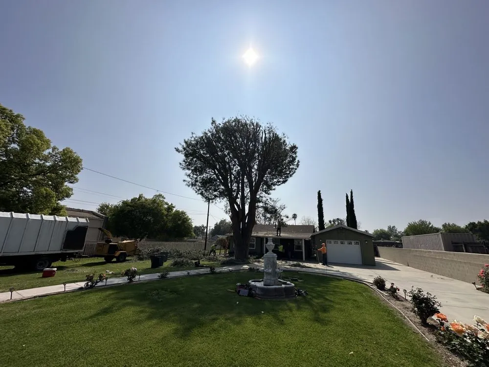 Professional landscape design experts serving Fontana, CA - Estrada’s Landscaping