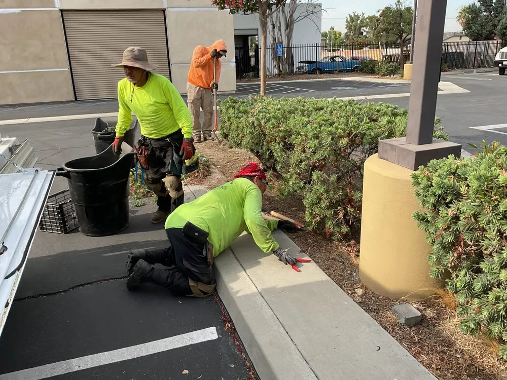 Top-rated garden landscaping with custom design in Fontana, CA by Estrada’s Landscaping