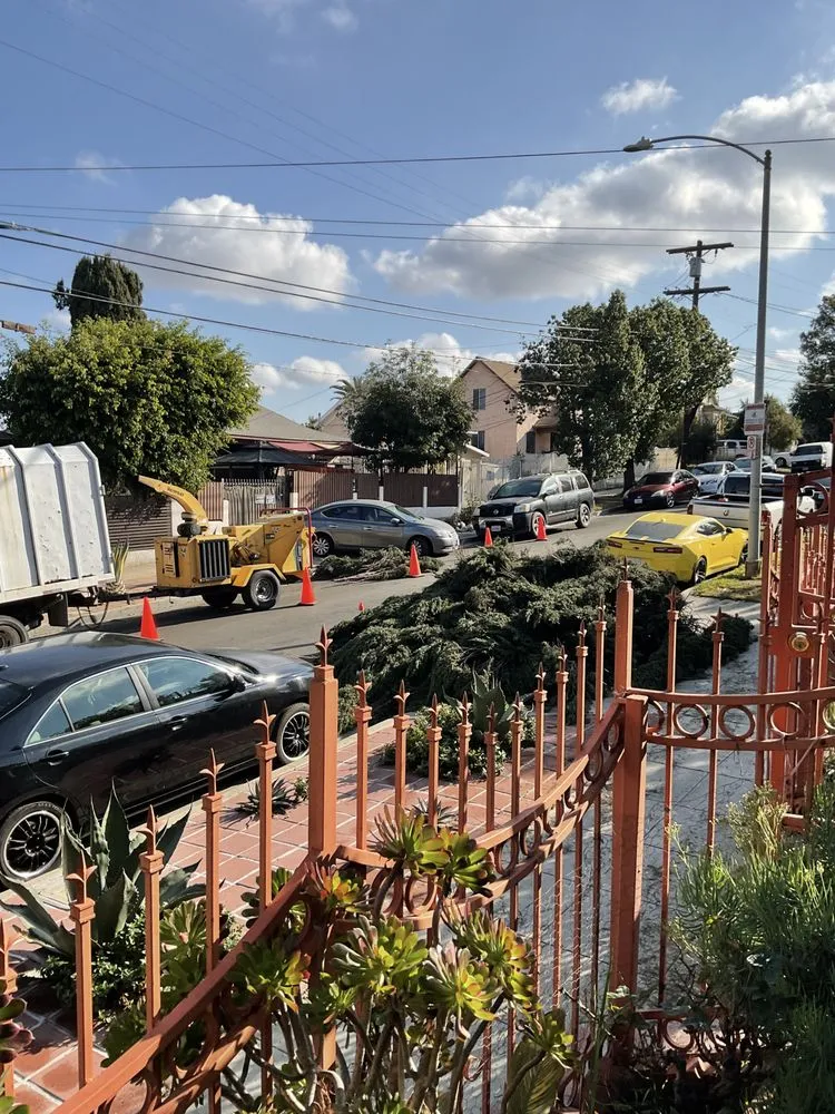 Reliable lawn care service for outdoor upgrades in Fontana, CA by Estrada’s Landscaping