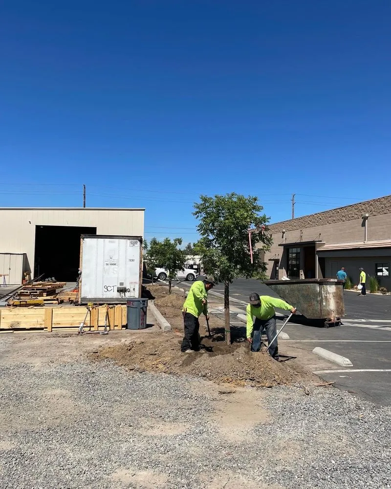 Expert landscape design with custom design across Fontana, CA - Estrada’s Landscaping