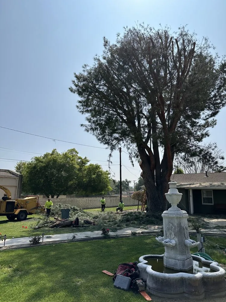 Custom garden landscaping for beautiful yards across Fontana, CA - Estrada’s Landscaping