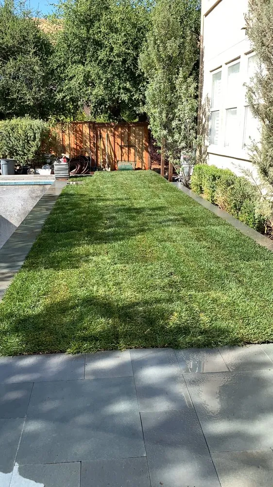 Custom yard maintenance for residential properties across San Rafael, CA - Estrada’s Landscaping Services