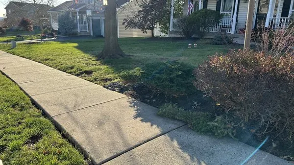 Estrada's Tree Service and Landscape