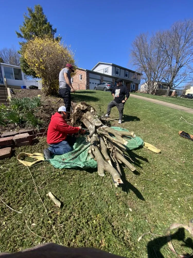 Affordable landscape installation for outdoor upgrades in Winchester, VA by Estradas Workable Solutions