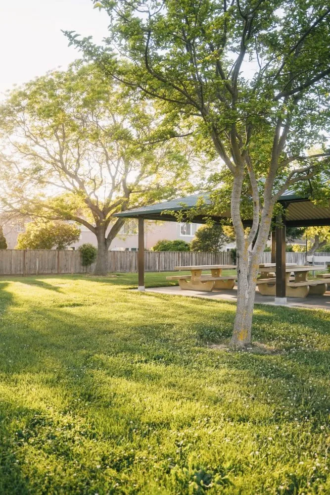 Affordable yard maintenance experts serving Hallandale, FL - Estrella's Beautiful Landscaping