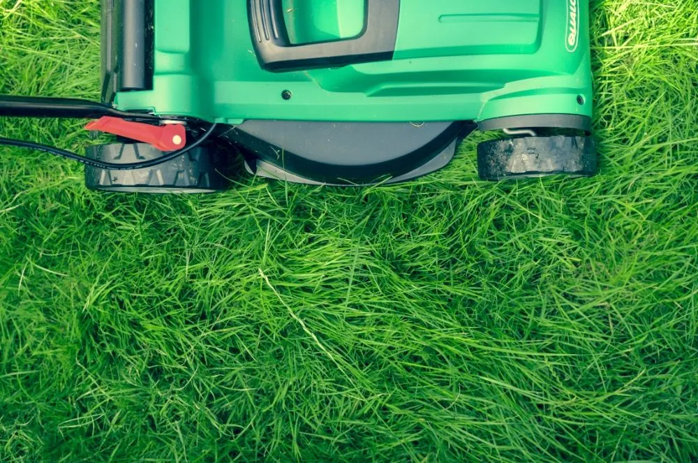 Top-rated garden landscaping in Hallandale, FL by Estrella's Beautiful Landscaping