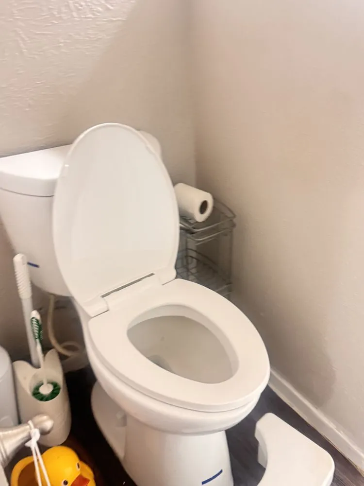 Expert outdoor landscaping with custom design in Mansfield, TX by ESZU Cleaning Services