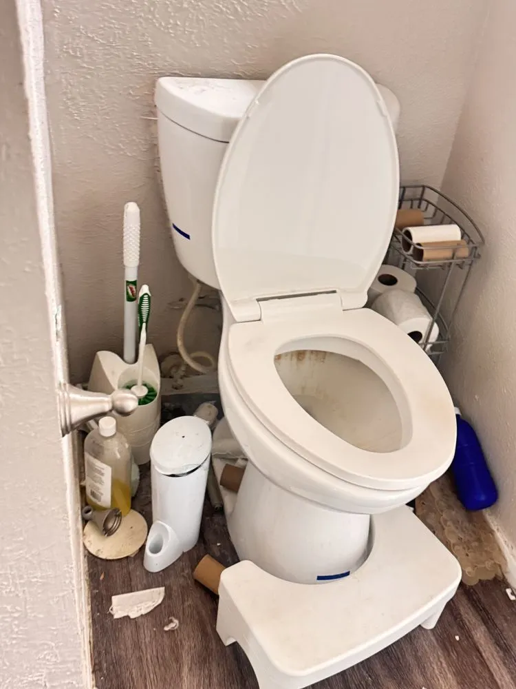 Professional landscaping services experts serving Mansfield, TX - ESZU Cleaning Services