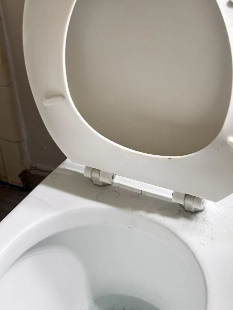 Top-rated garden landscaping for year-round maintenance across Mansfield, TX - ESZU Cleaning Services