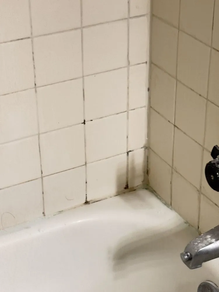 Trusted yard cleanup service for year-round maintenance across Mansfield, TX - ESZU Cleaning Services