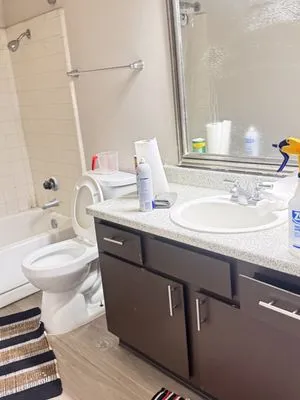 ESZU Cleaning Services Logo