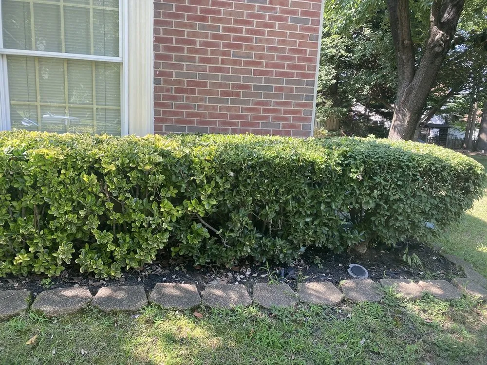 Trusted landscape installation experts serving Sterling, VA - ET Lawn Care