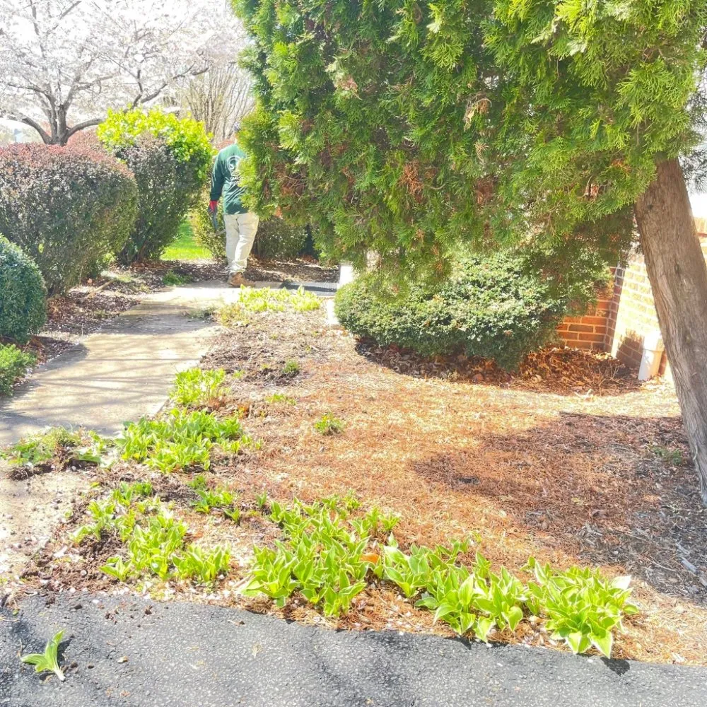 Reliable landscape installation in Sterling, VA by ET Lawn Care