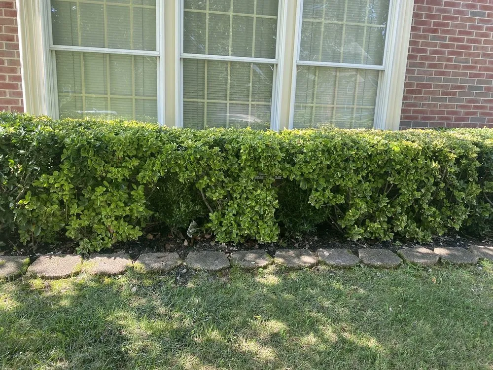 Reliable landscaping services in Sterling, VA - ET Lawn Care