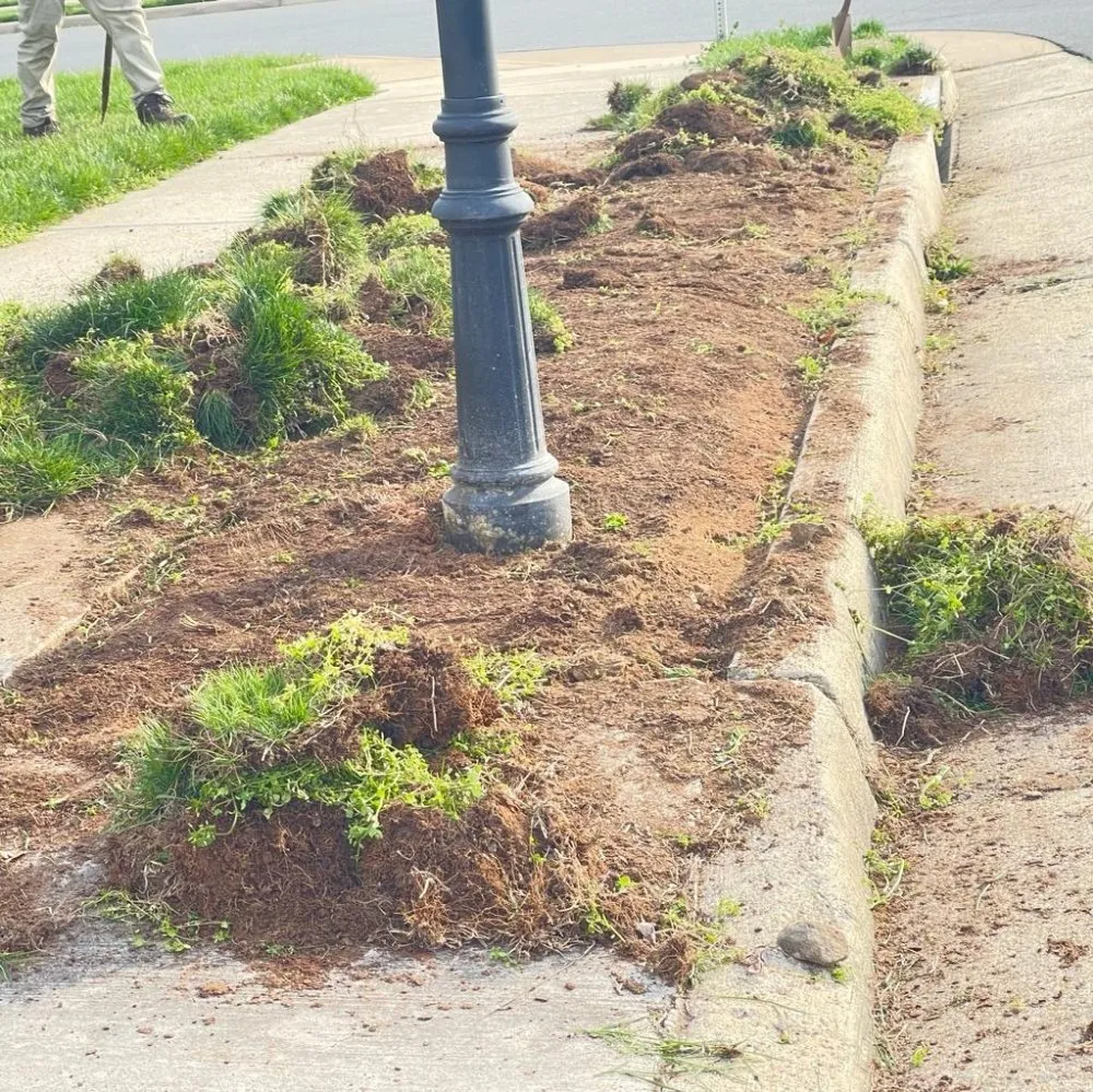 Affordable yard cleanup service experts serving Sterling, VA - ET Lawn Care