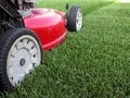 Local lawn care service experts serving West Palm Beach, FL - ET Lawn Maintenance