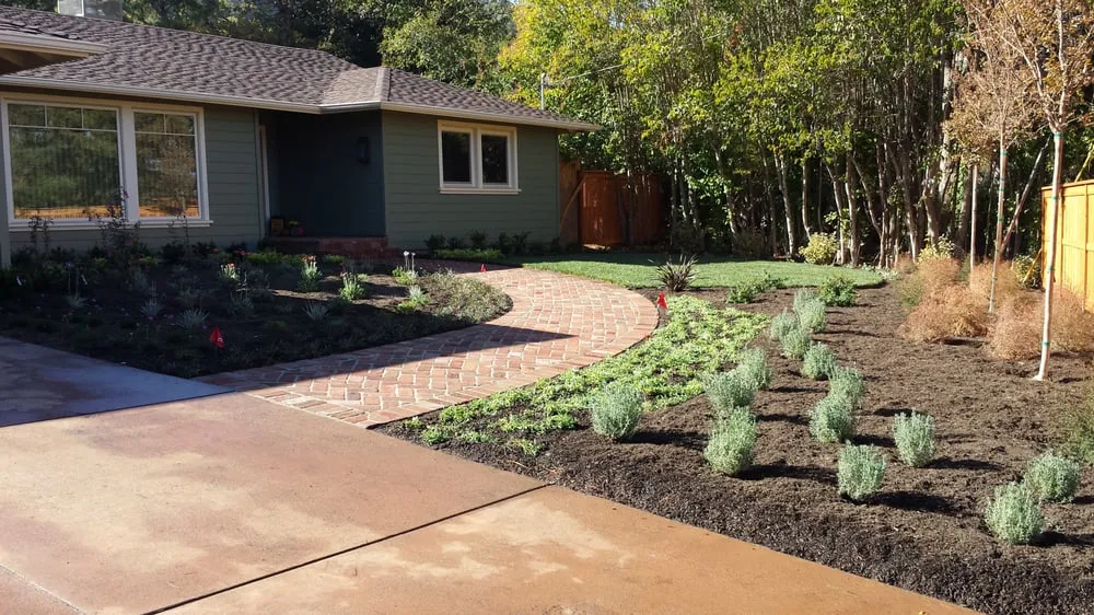 Top-rated lawn care service for homes across San Pablo, CA - Etcheverry & Son Landscaping