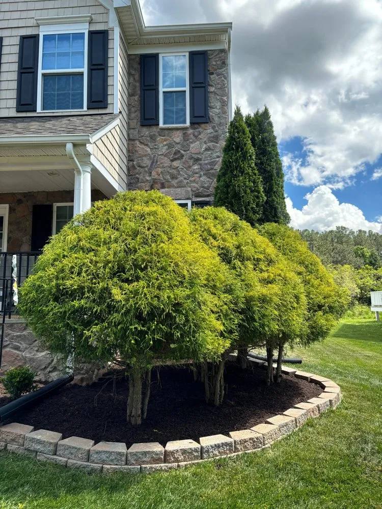 Reliable garden landscaping for outdoor upgrades across Newport News, VA - Eterna Landscapes