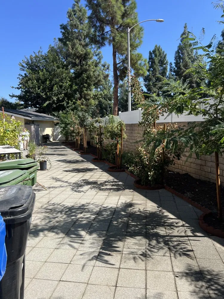 Expert yard cleanup service in La Cañada flintridge, CA - Eternal Arbor Care