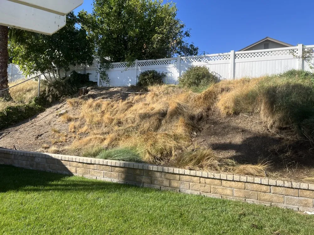 Affordable outdoor landscaping in La Cañada flintridge, CA - Eternal Arbor Care