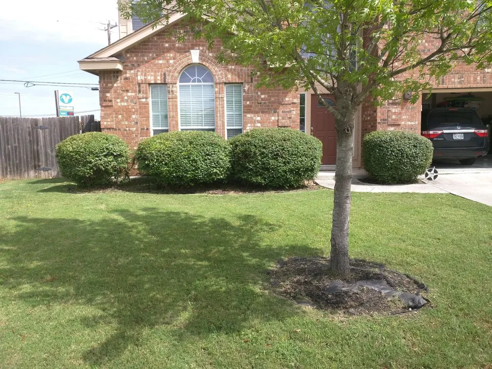 Affordable landscape design for outdoor upgrades across Helotes, TX - Eternal Eden Landscape Design