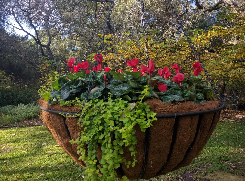 Trusted lawn care service with custom design in Helotes, TX by Eternal Eden Landscape Design