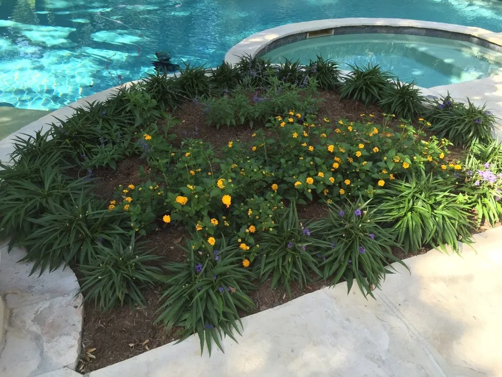 Expert landscaping services near you in Helotes, TX by Eternal Eden Landscape Design
