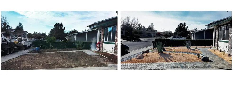 Professional yard maintenance near you in Sonoma, CA by Eternal Landscape Solutions