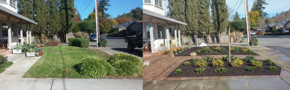 Reliable landscaping services for beautiful yards across Sonoma, CA - Eternal Landscape Solutions