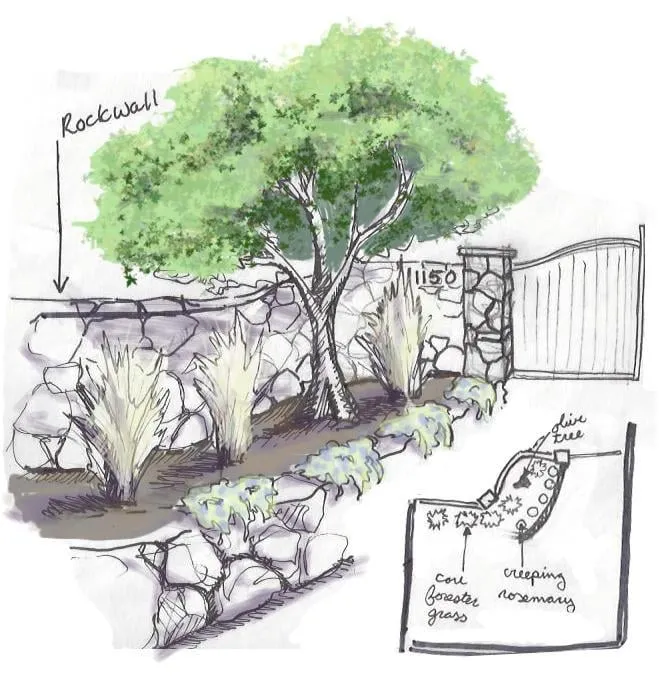 Top-rated yard cleanup service in Sonoma, CA by Eternal Landscape Solutions